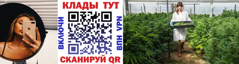 Магазины продажи наркотиков Сальск Гашиш  Бошки Шишки  Метадон  Меф  Альфа ПВП  АМФЕТАМИН 